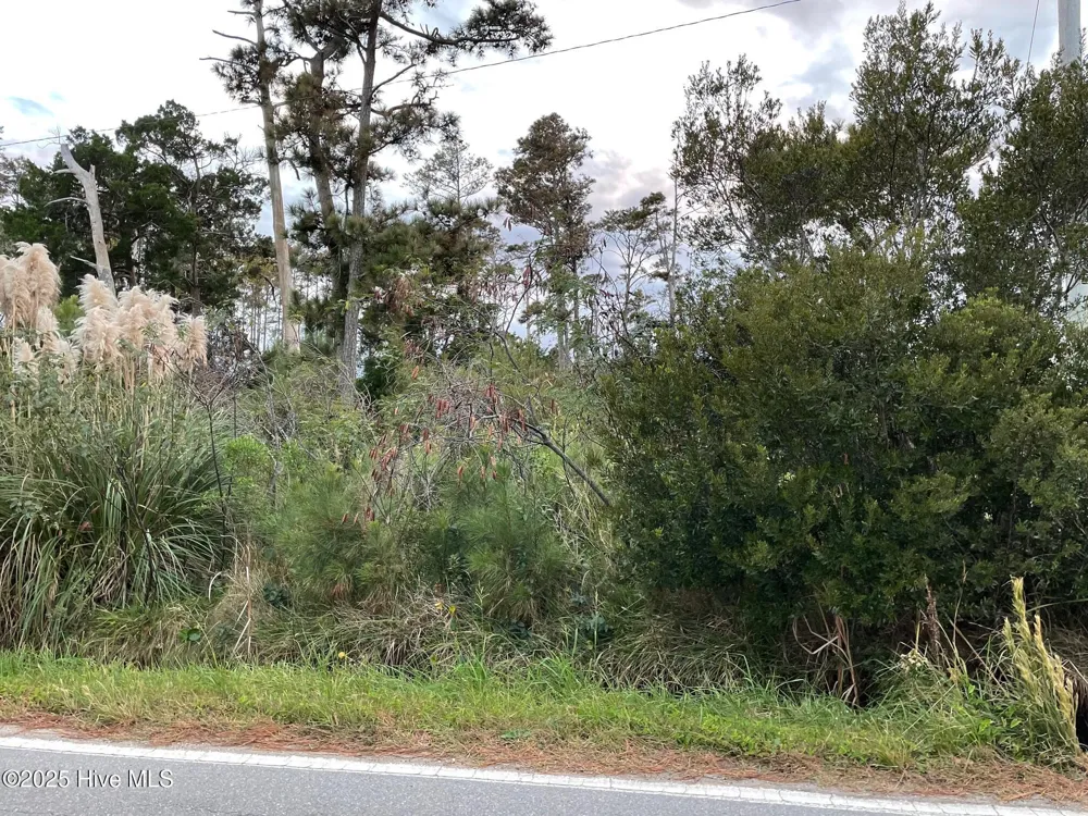 3019 Cedar Island Rd Cedar Island, NC 28520