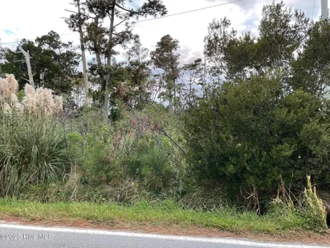 3019 Cedar Island Rd