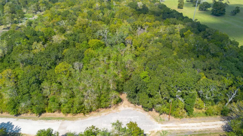 Bear Bottom Drive Wharton, TX 77488