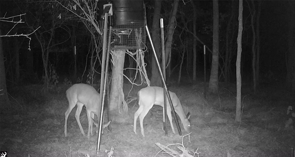 Bear Bottom Drive Wharton, TX 77488