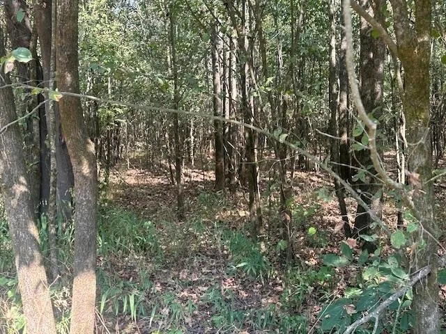 0 TOW BOAT LN Adamsville, TN 38310