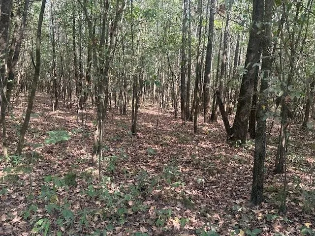 0 TOW BOAT LN Adamsville, TN 38310