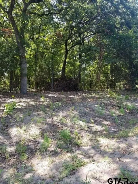 Birch Drive
