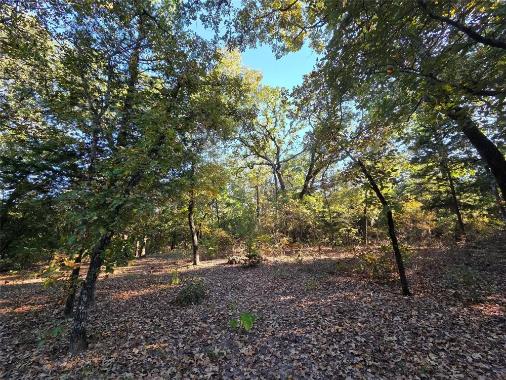 466 Cr-4710 Larue, TX 75770