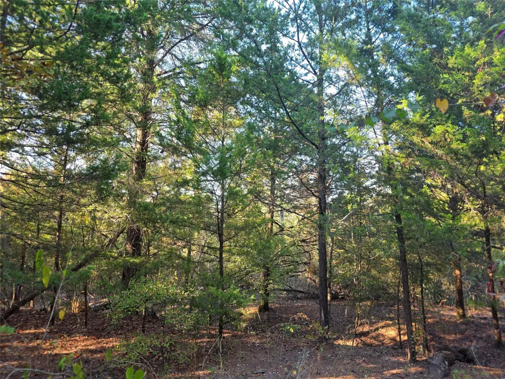 466 Cr-4710 Larue, TX 75770