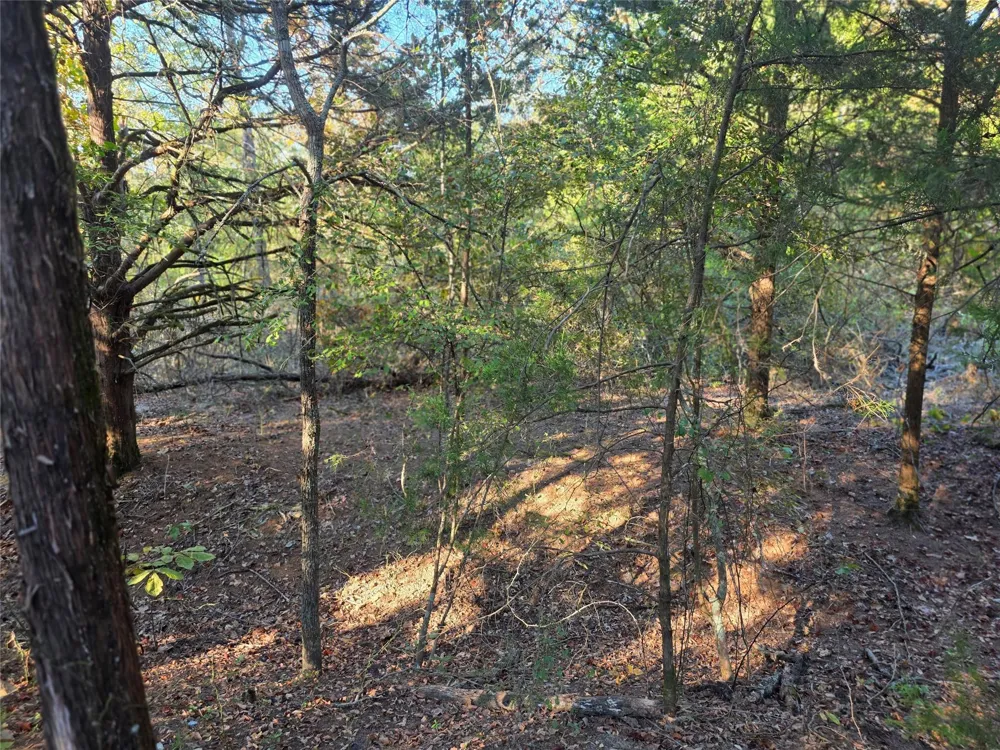 466 Cr-4710 Larue, TX 75770