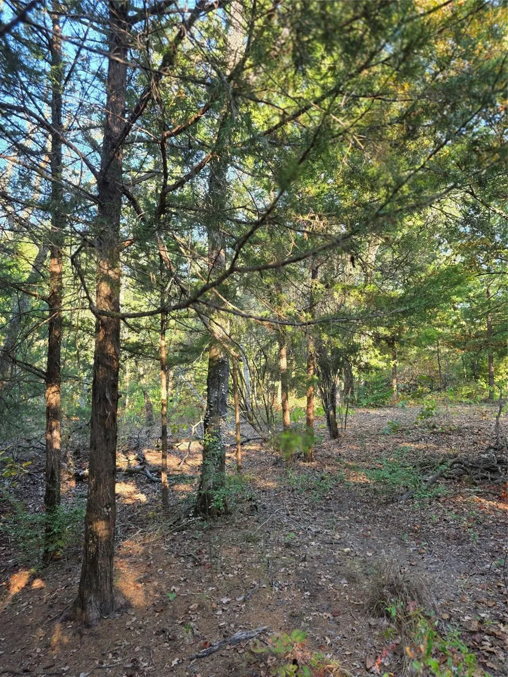 466 Cr-4710 Larue, TX 75770