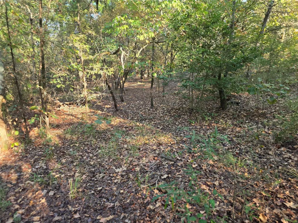 466 Cr-4710 Larue, TX 75770