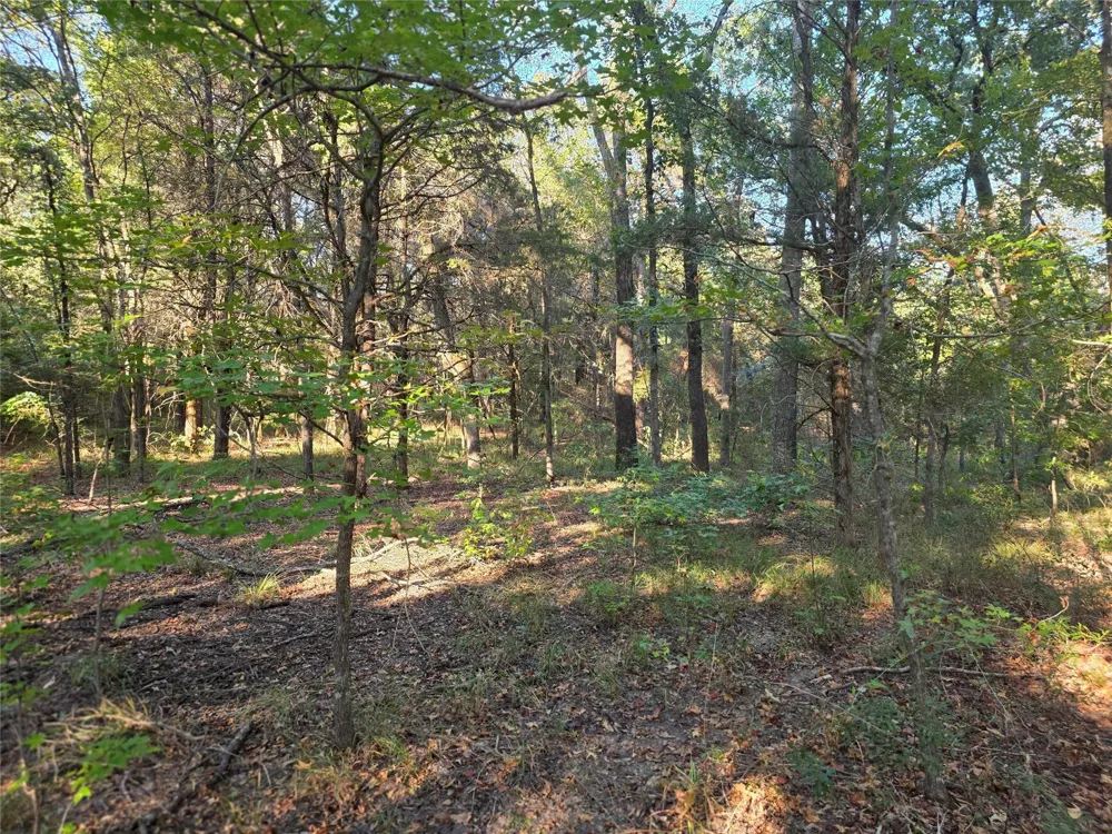 466 Cr-4710 Larue, TX 75770