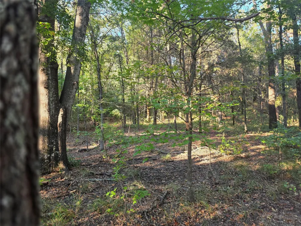 466 Cr-4710 Larue, TX 75770