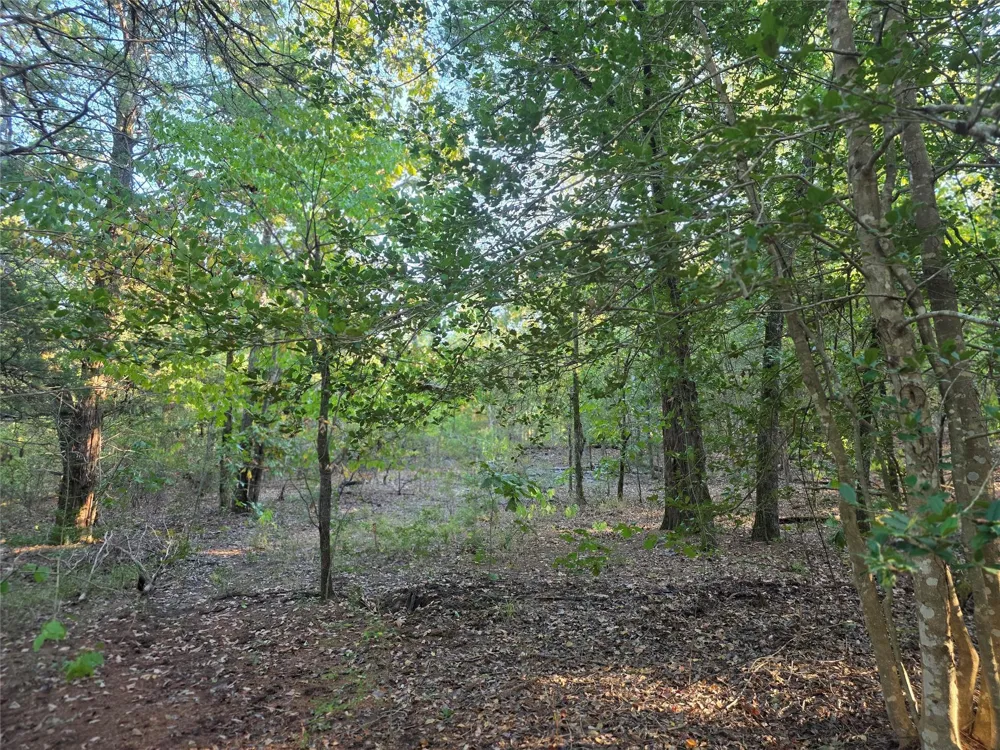 466 Cr-4710 Larue, TX 75770