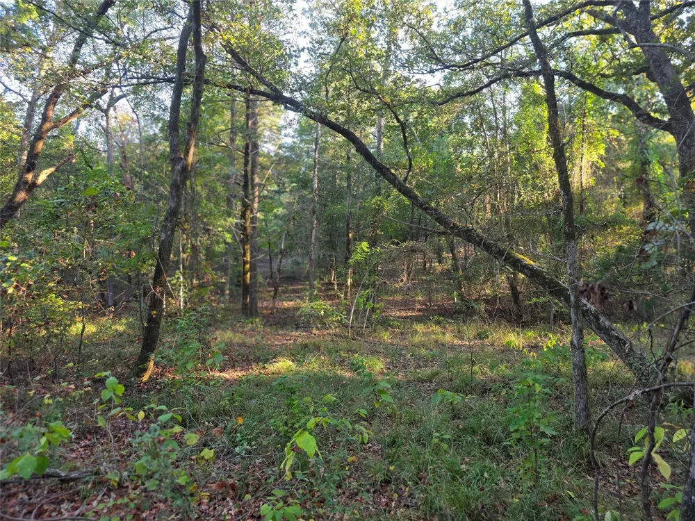 466 Cr-4710 Larue, TX 75770
