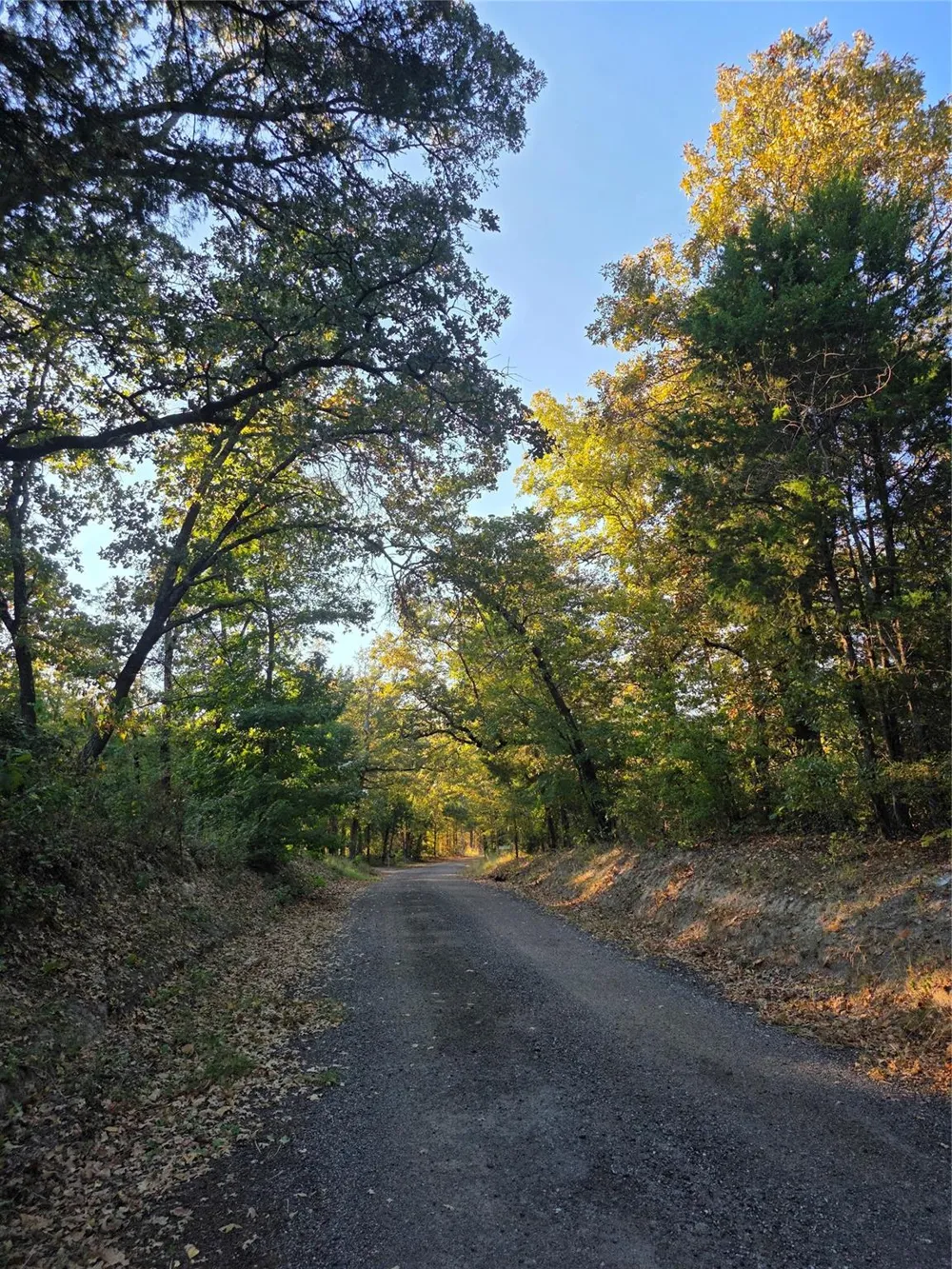 466 Cr-4710 Larue, TX 75770