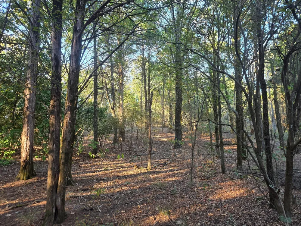 466 Cr-4710 Larue, TX 75770