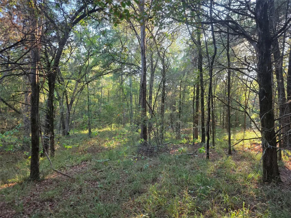 466 Cr-4710 Larue, TX 75770