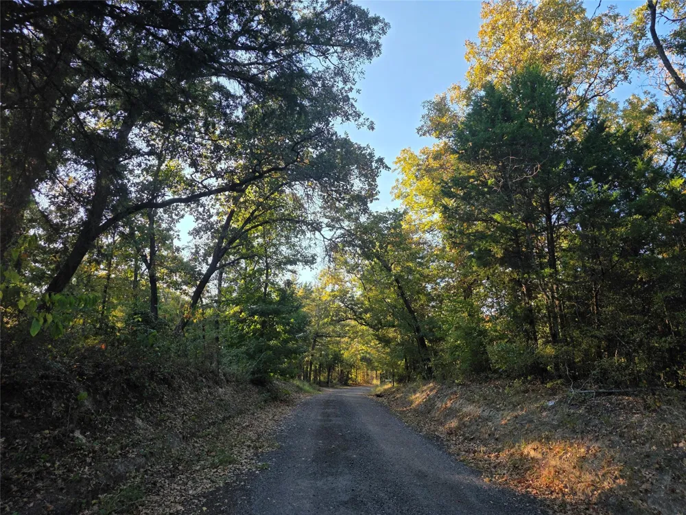 466 Cr-4710 Larue, TX 75770