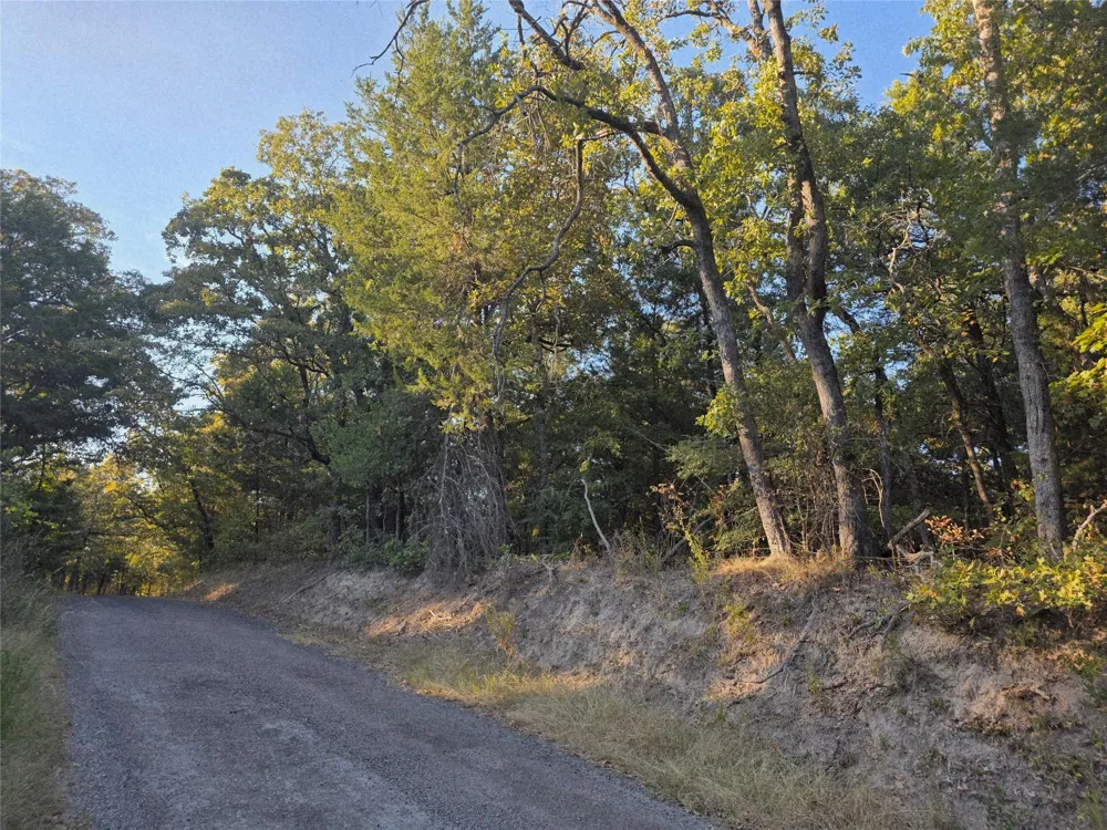 466 Cr-4710 Larue, TX 75770