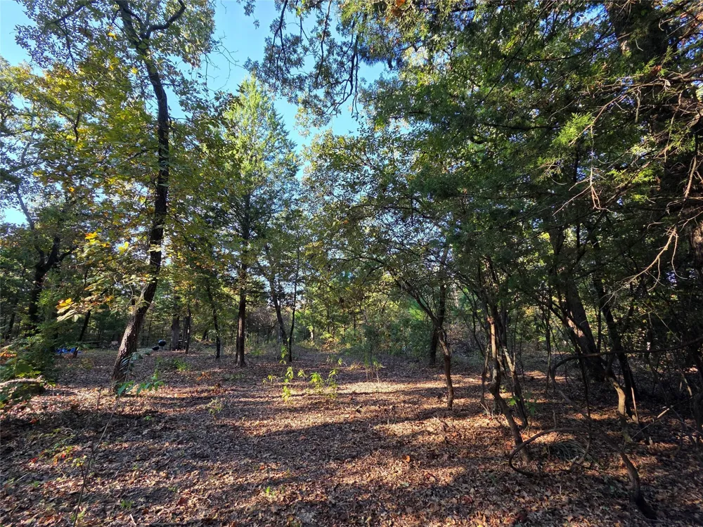 466 Cr-4710 Larue, TX 75770