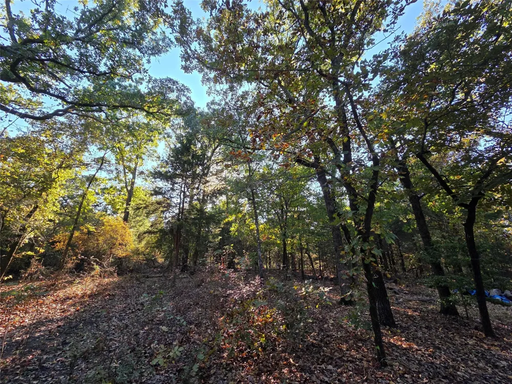 466 Cr-4710 Larue, TX 75770