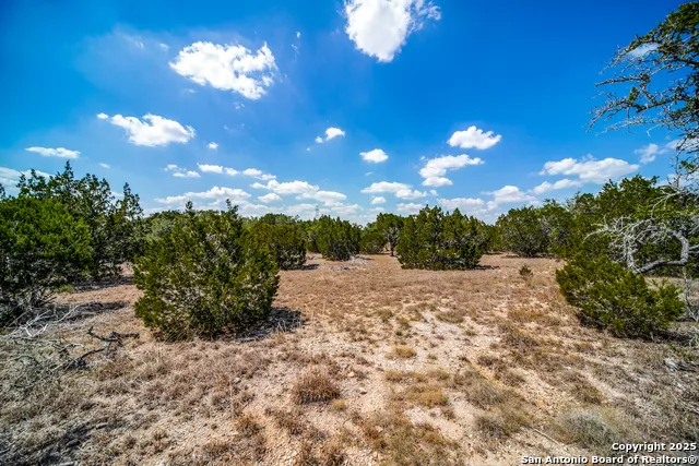 972 Scarlett Ridge Bulverde, TX 78163