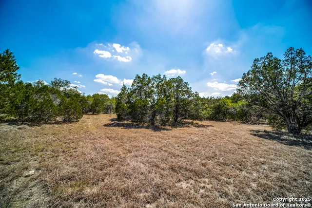 972 Scarlett Ridge Bulverde, TX 78163