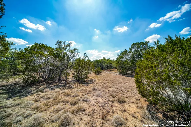 972 Scarlett Ridge Bulverde, TX 78163