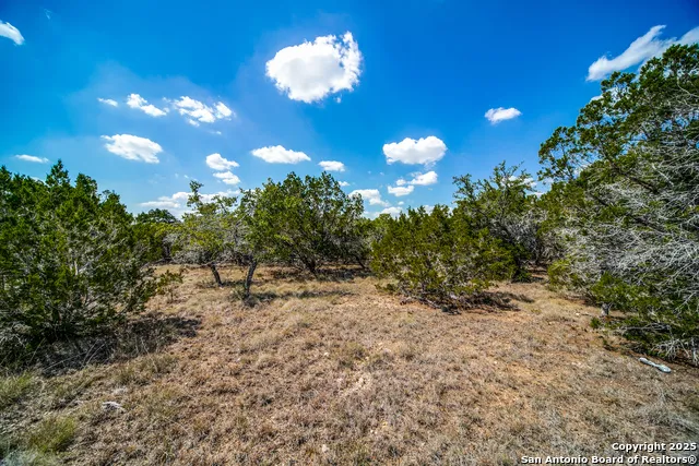 972 Scarlett Ridge Bulverde, TX 78163