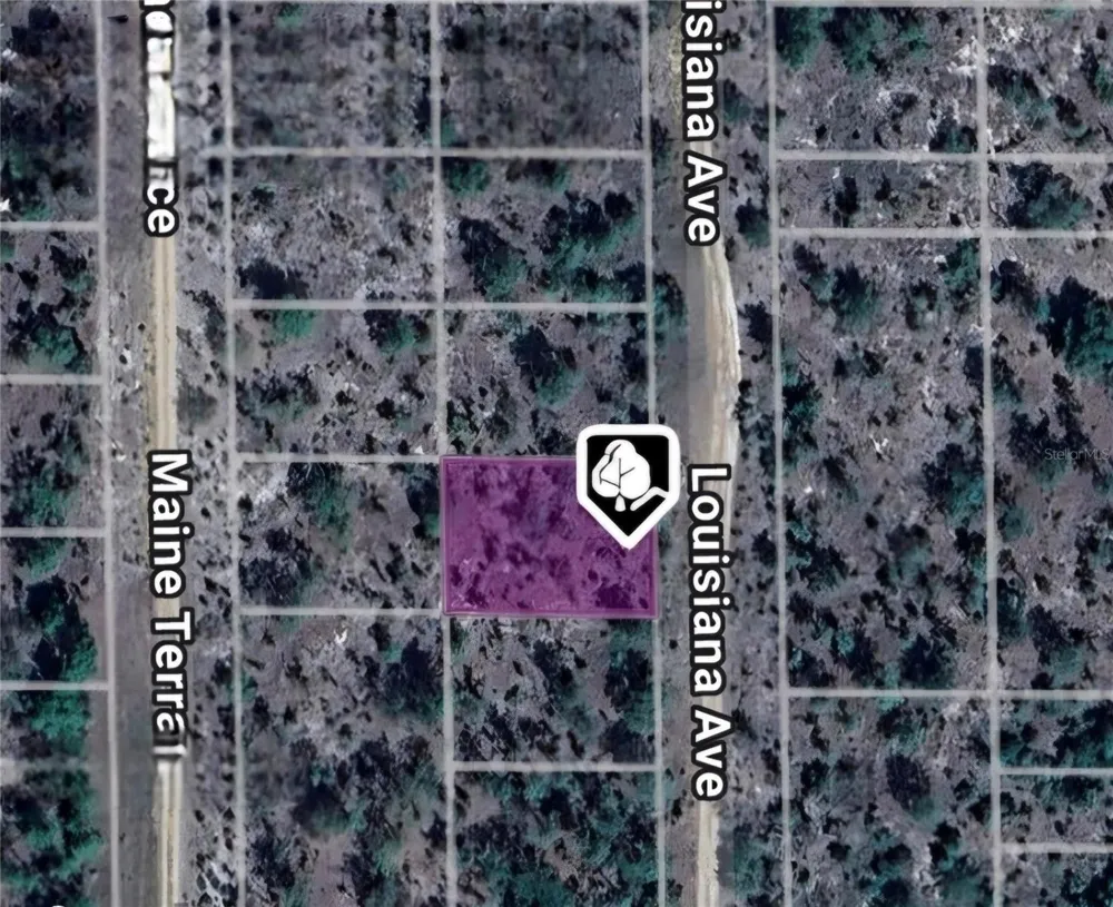 LOT 19 AND 20 LOUISIANA AVENUE Hawthorne, FL 32640