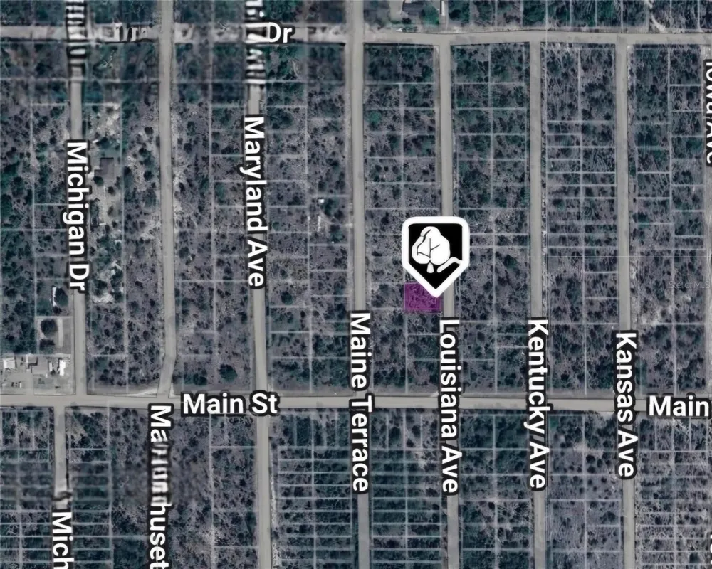 LOT 19 AND 20 LOUISIANA AVENUE Hawthorne, FL 32640