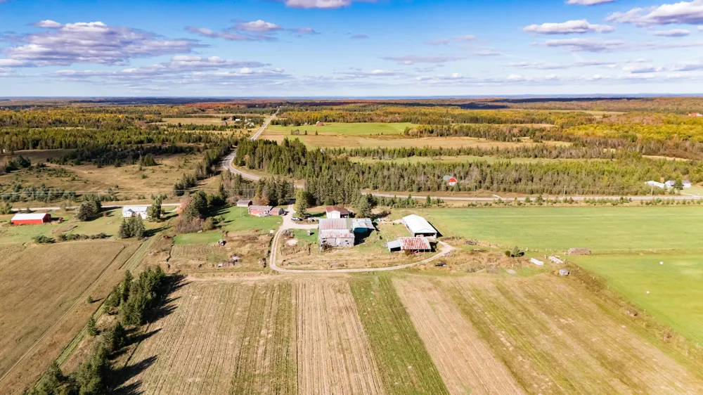 9964 E M 48 Goetzville, MI 49736