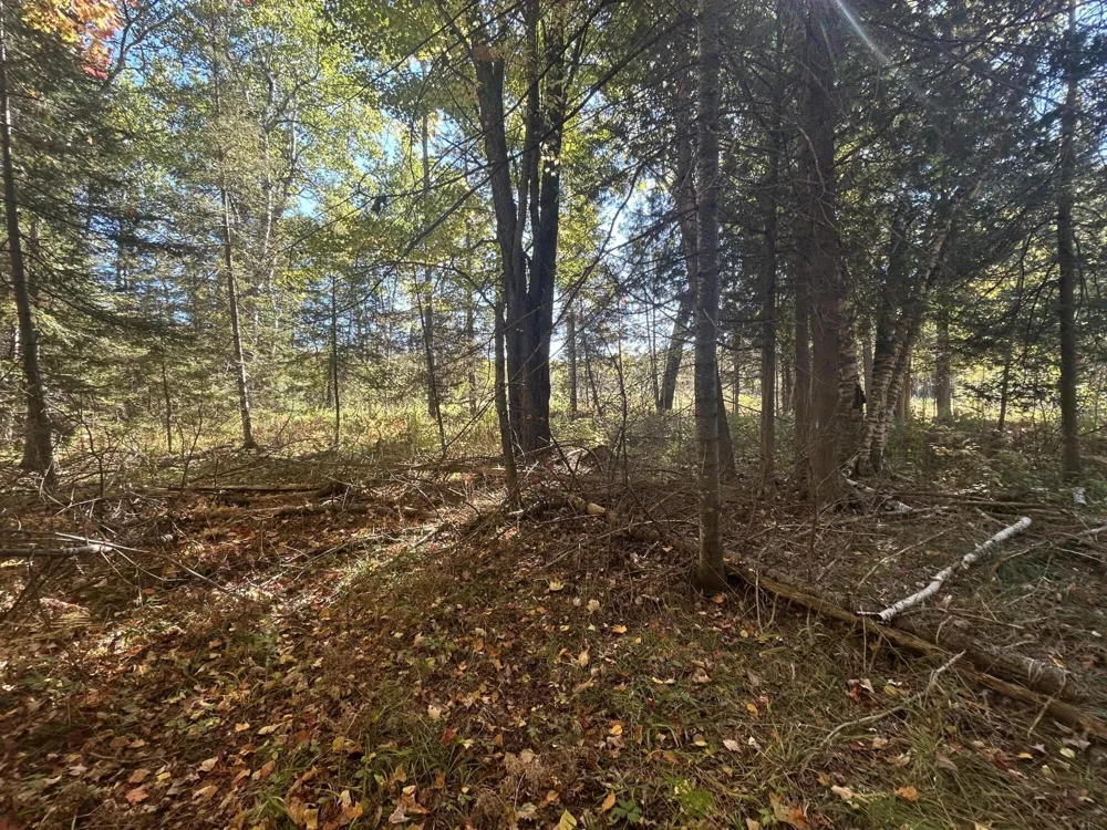 9964 E M 48 Goetzville, MI 49736