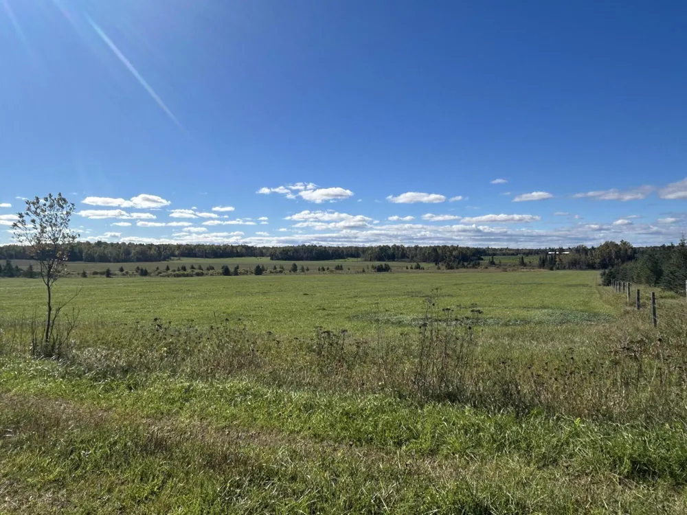 9964 E M 48 Goetzville, MI 49736