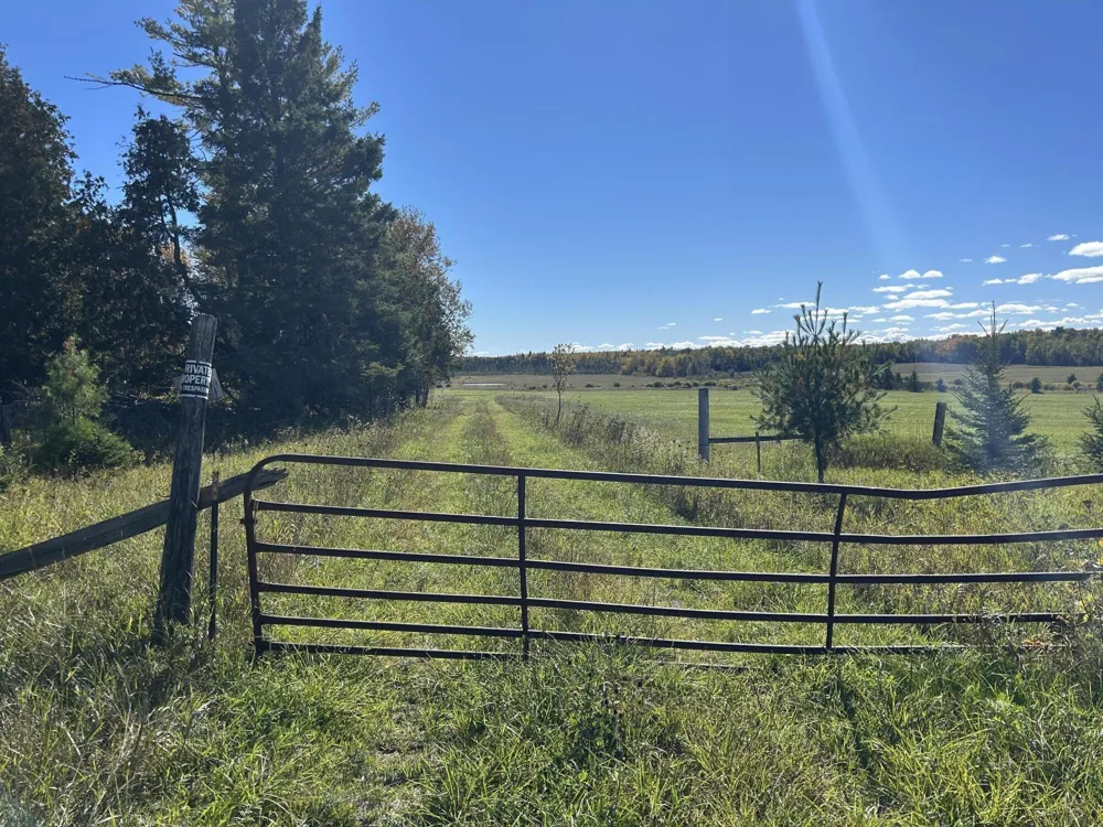 9964 E M 48 Goetzville, MI 49736