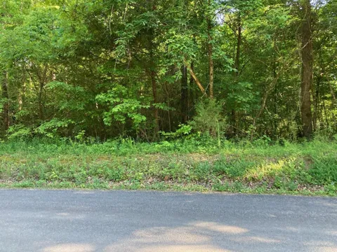 Horner Hollow Road