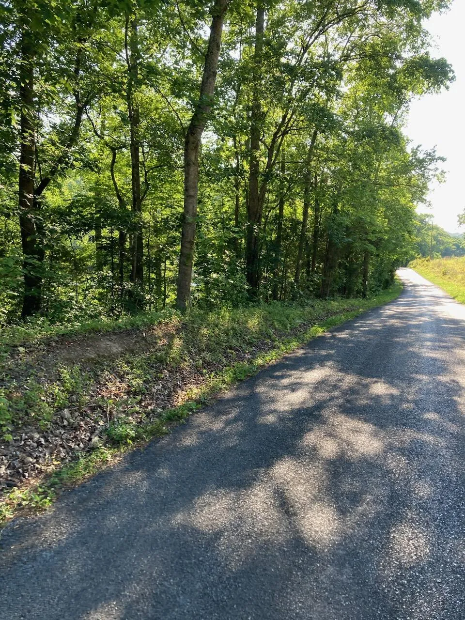 Horner Hollow Road Birchwood, TN 37308
