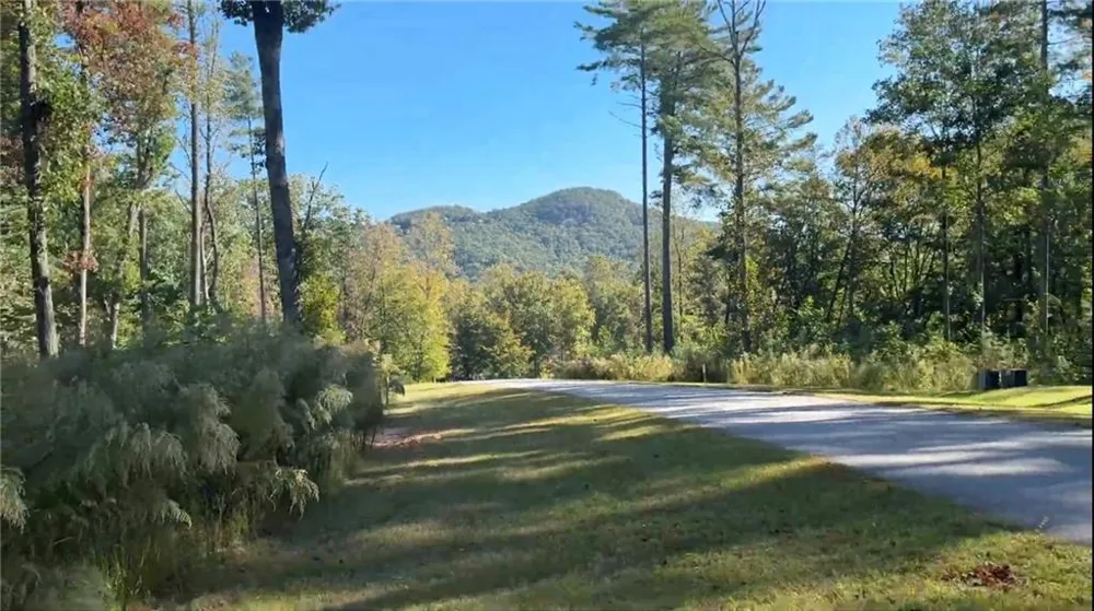 83 Leisure Mtn Trail Sautee Nacoochee, GA 30571