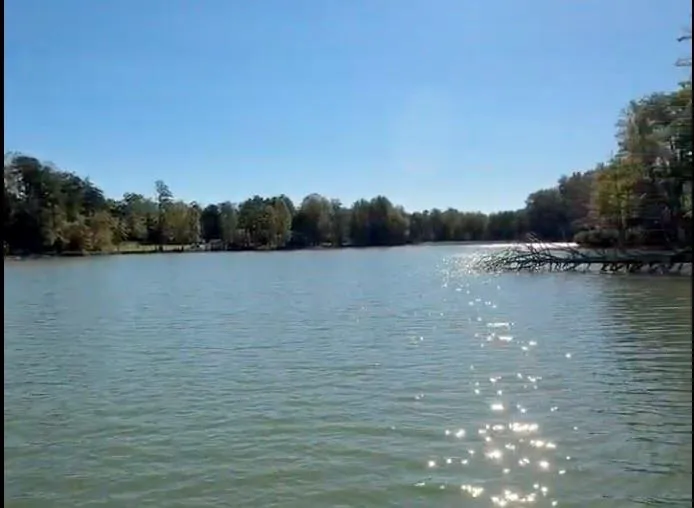 83 Leisure Mtn Trail Sautee Nacoochee, GA 30571