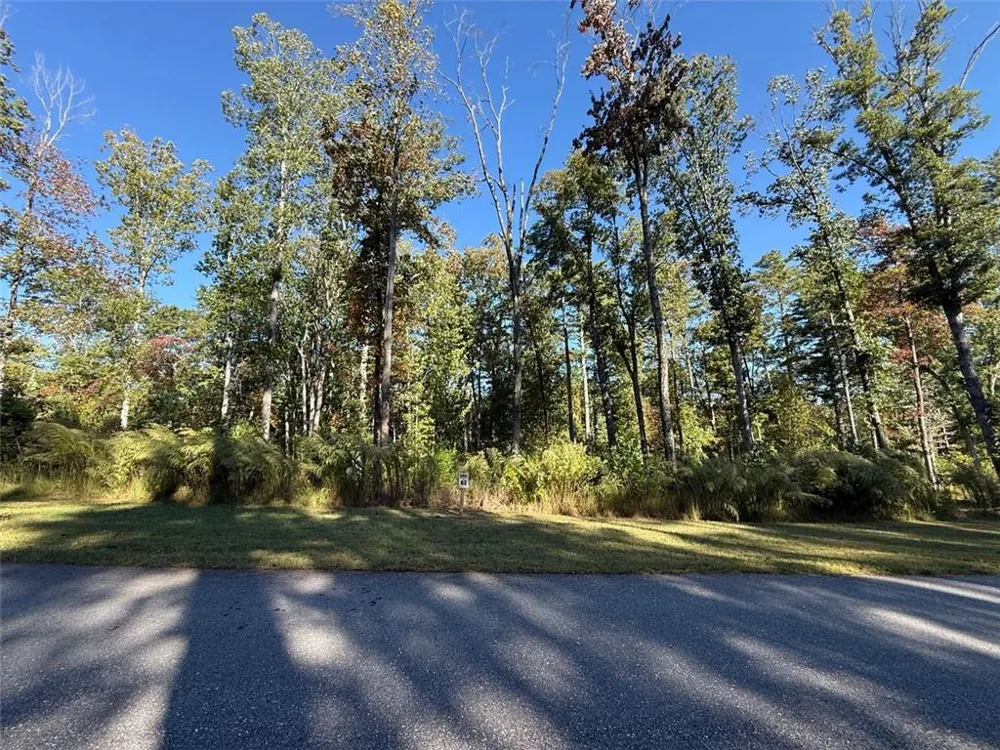 83 Leisure Mtn Trail Sautee Nacoochee, GA 30571