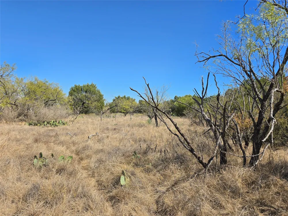 CR 108 Santa Anna, TX 76878