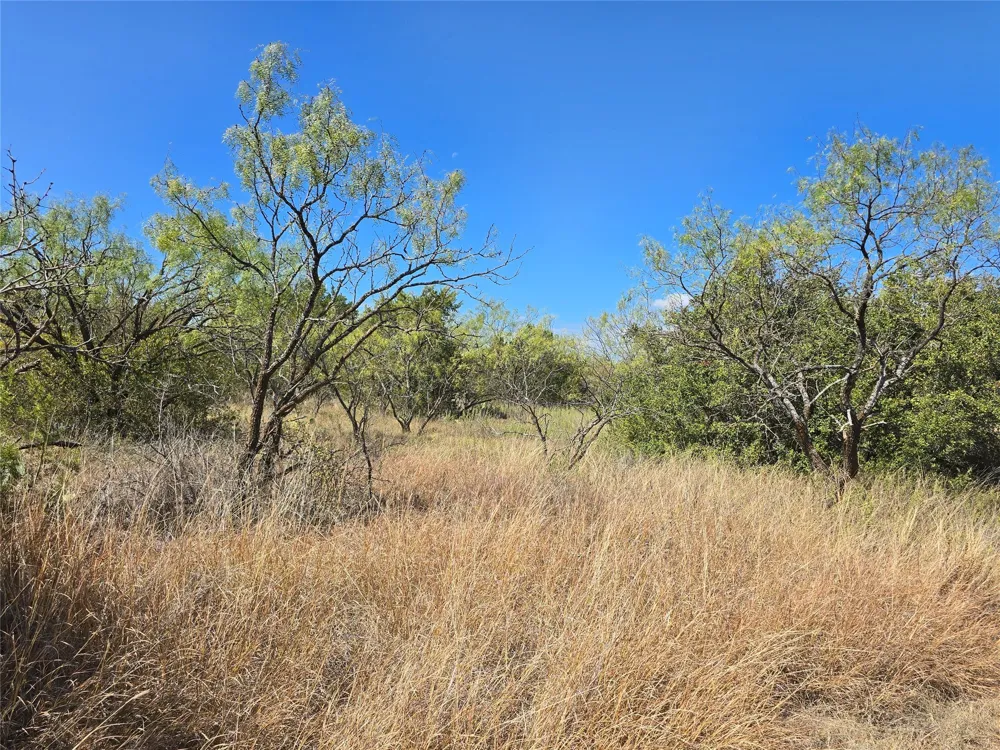 CR 108 Santa Anna, TX 76878