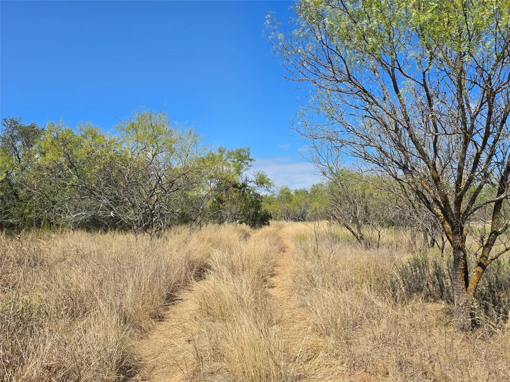 CR 108 Santa Anna, TX 76878