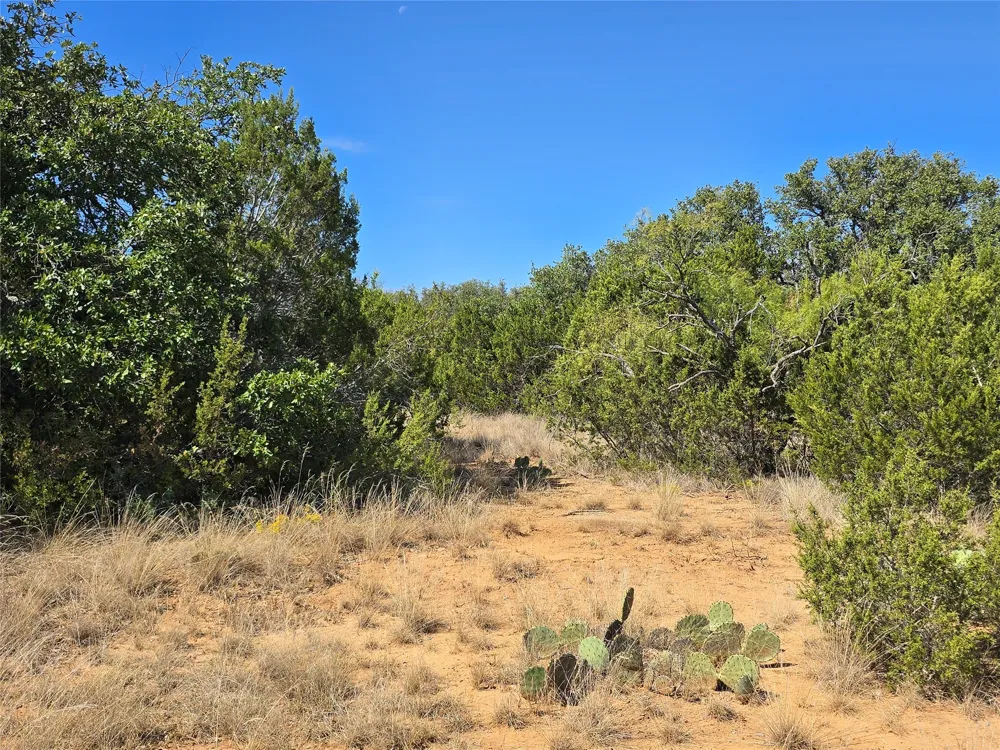 CR 108 Santa Anna, TX 76878