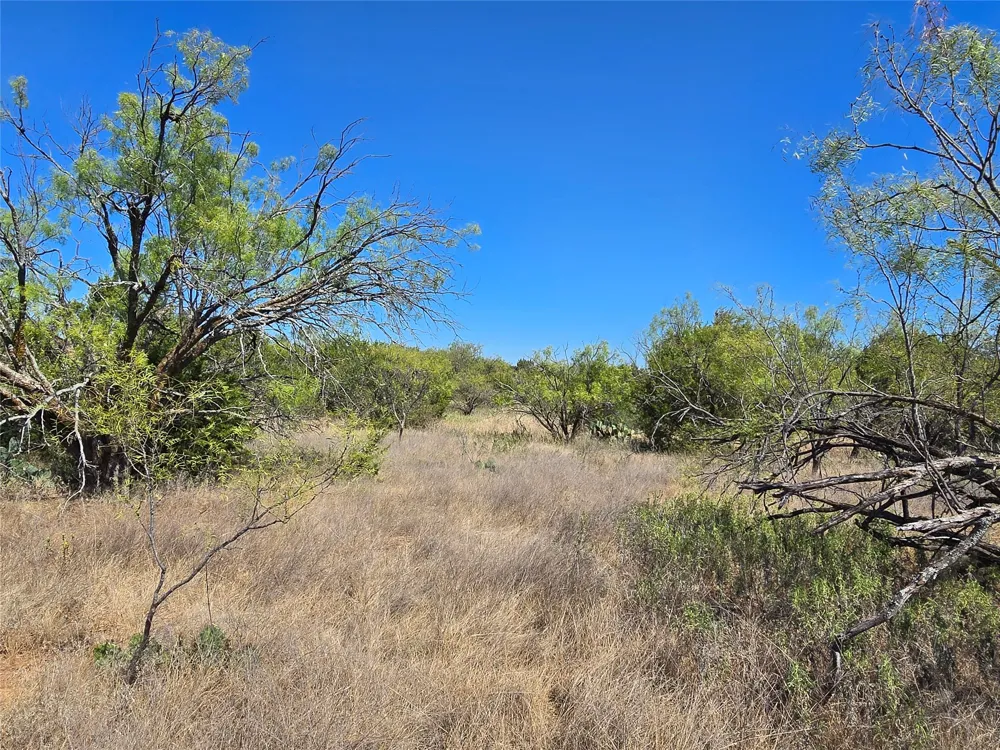 CR 108 Santa Anna, TX 76878