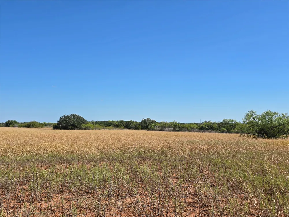 CR 108 Santa Anna, TX 76878