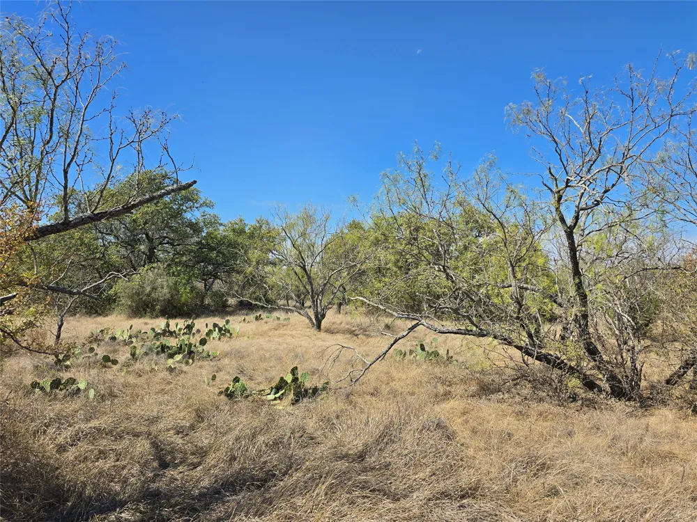 CR 108 Santa Anna, TX 76878
