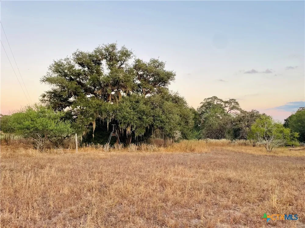 Causey Lane Cuero, TX 77954