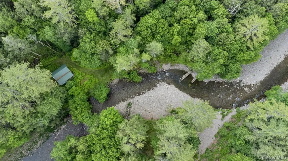 56 Saw Mill Road Claryville, NY 12725