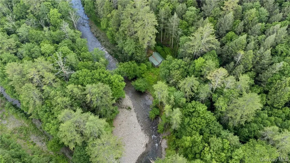56 Saw Mill Road Claryville, NY 12725