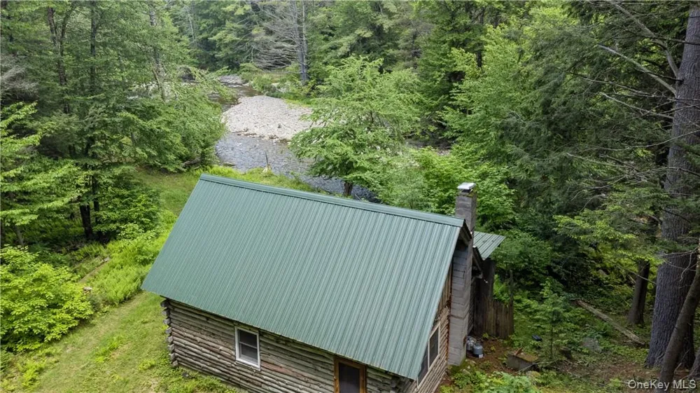 56 Saw Mill Road Claryville, NY 12725