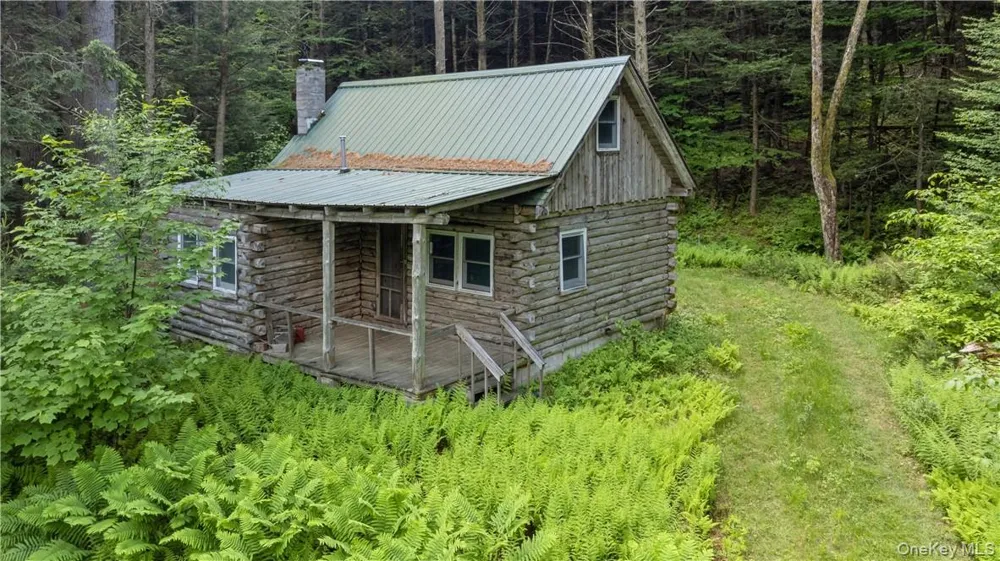 56 Saw Mill Road Claryville, NY 12725